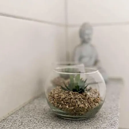 Apartment Lion
