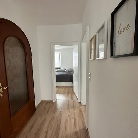Apartment Lion *