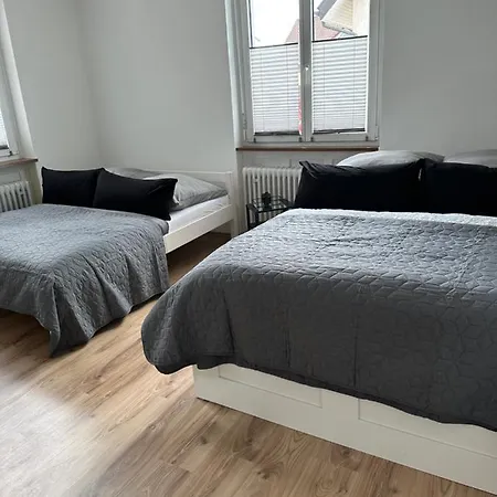 Lion Apartment